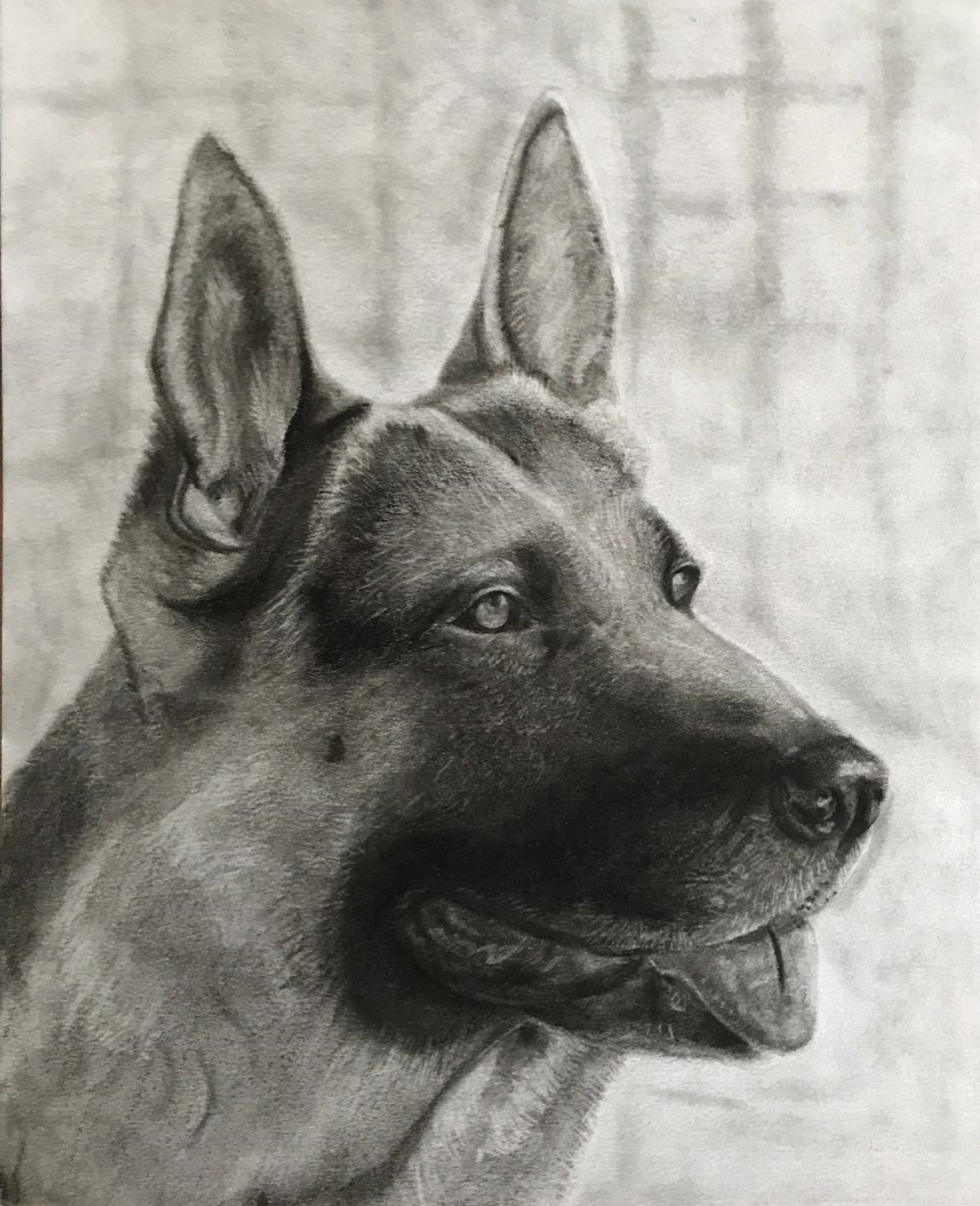 shepherd