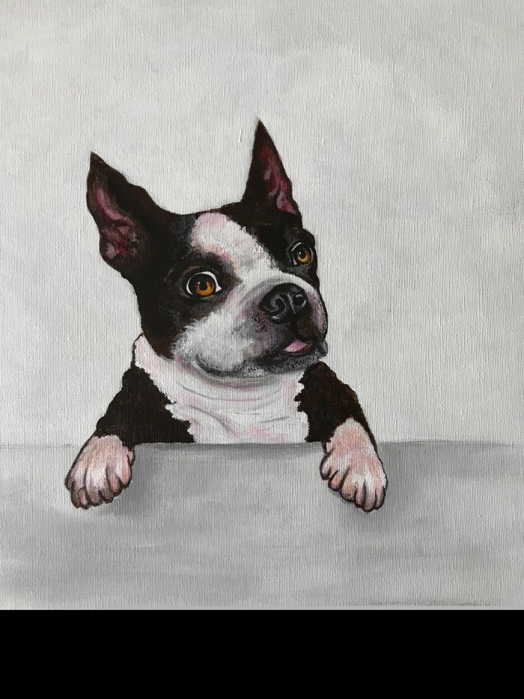Mr. Dog